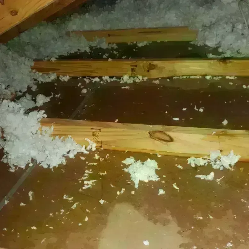 Attic Water Damage in Louisville, IL