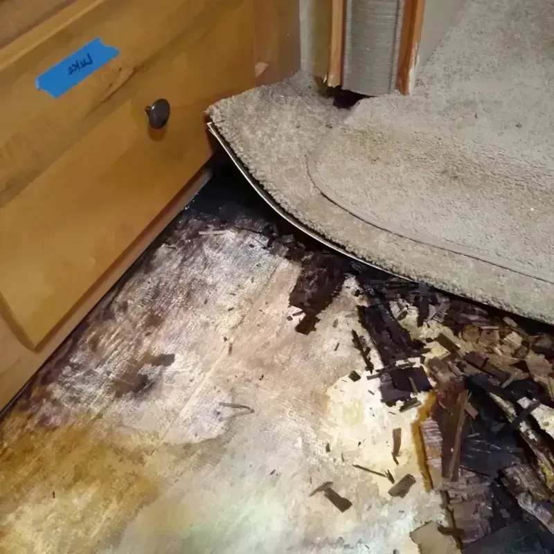 Wood Floor Water Damage in Louisville, IL